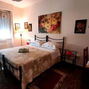 Rosa , Samarate Italia